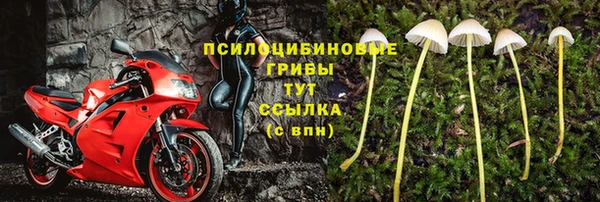 PSILOCYBIN Белокуриха