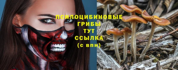PSILOCYBIN Белокуриха