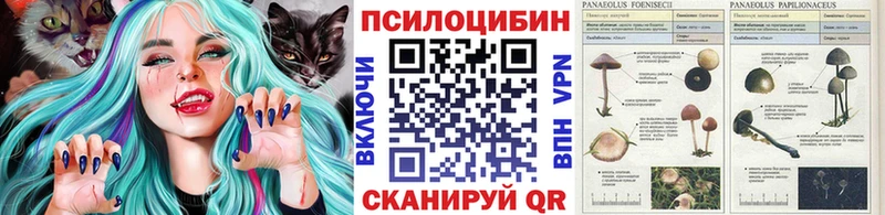 blacksprut рабочий сайт  Озёры  Галлюциногенные грибы GOLDEN TEACHER 
